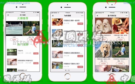 图片[2]-DS正版微信视频打赏源码代理分销系统，全新V15自动检测域名黑白名单-SellCode