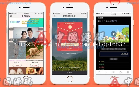 DS正版微信视频打赏源码代理分销系统，全新V15自动检测域名黑白名单-SellCode