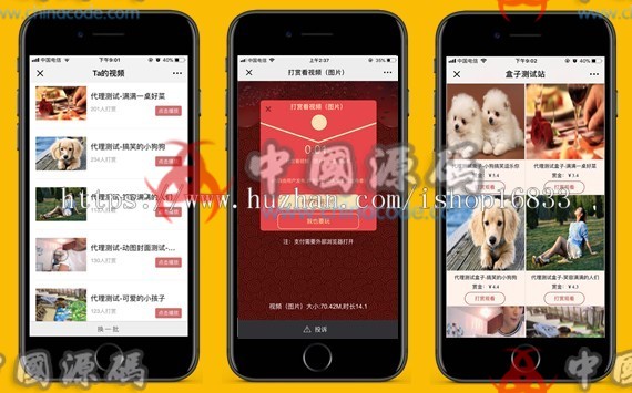 图片[4]-DS正版微信视频打赏源码代理分销系统，全新V15自动检测域名黑白名单-SellCode