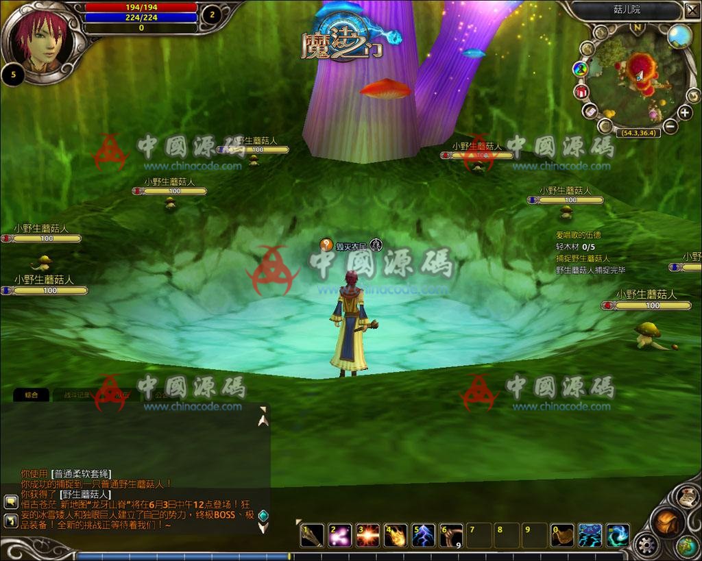 《魔法之门ol》完整源码-SellCode
