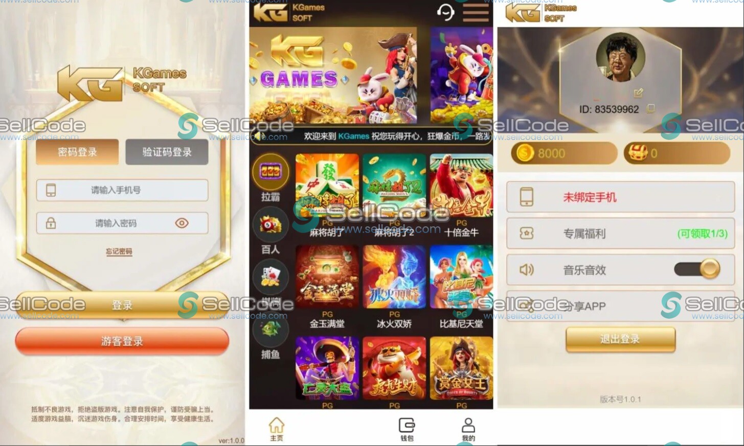 图片[13]-《KG电子》源码-SellCode