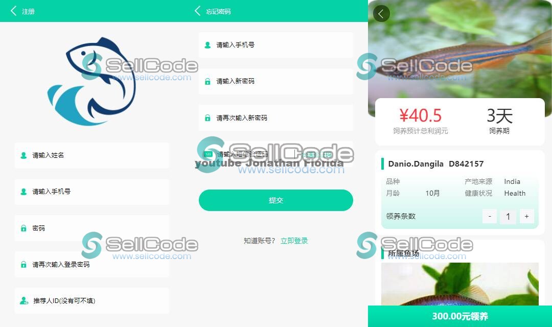 图片[2]-养鱼金融投资理财源码 商城\抽奖\投资收益余额宝等！中英文双语-SellCode