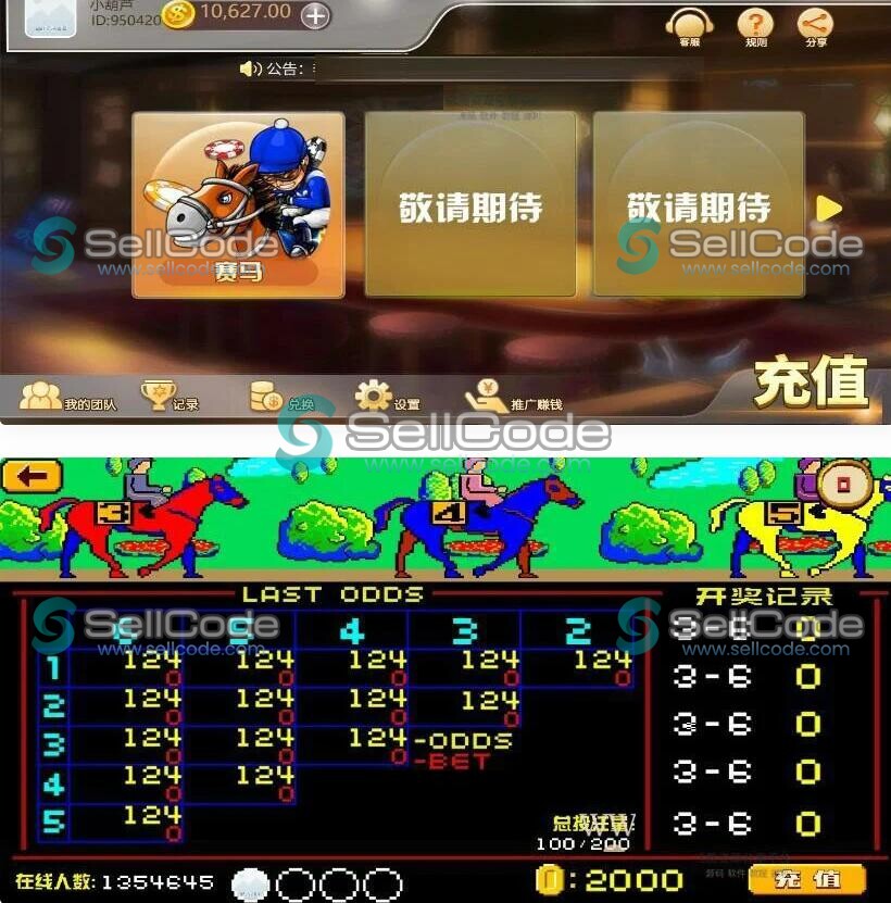 赛马娱乐游戏源码-SellCode