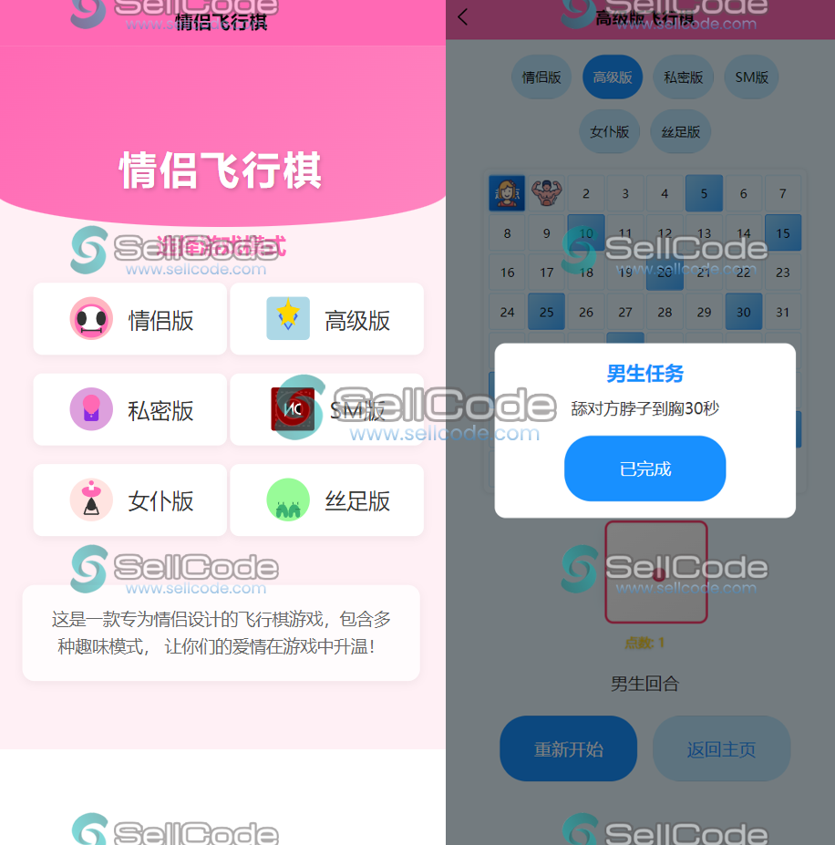 情侣飞行棋游戏源码-SellCode