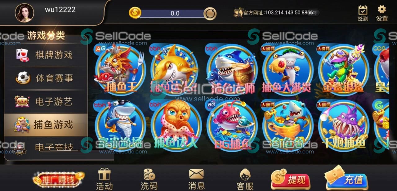 图片[3]-PE包网半岛棋牌电玩程序-SellCode