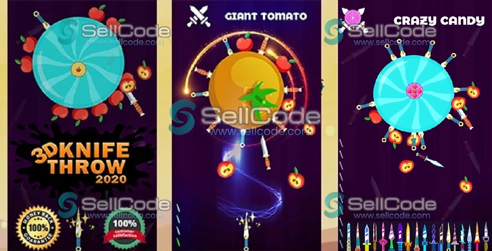 《3D Knife Throw》源码-SellCode