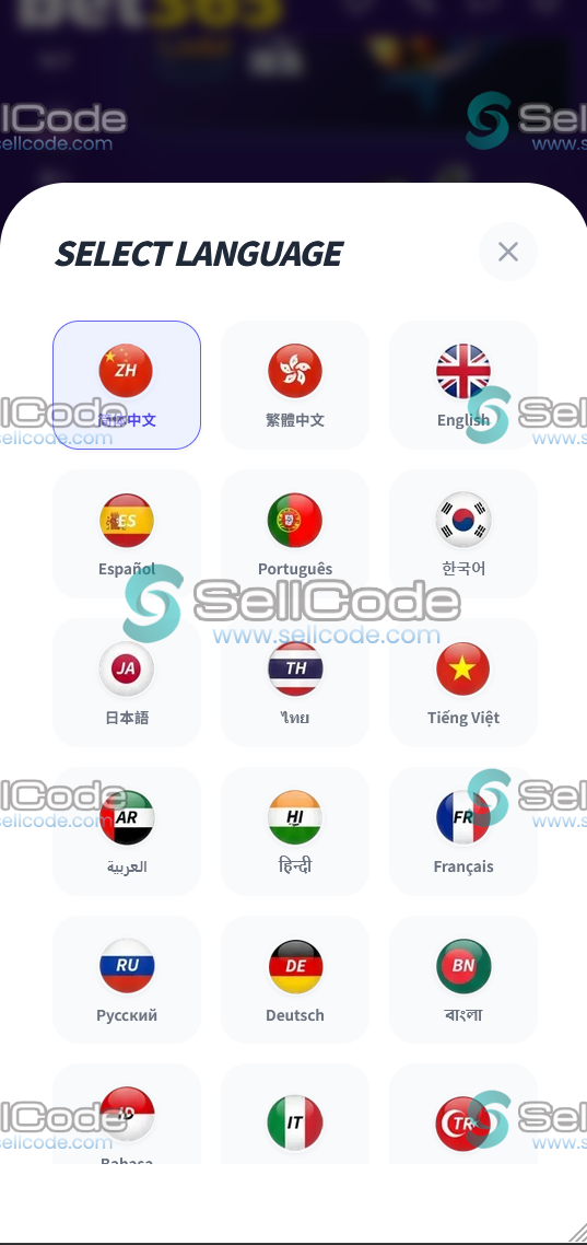 图片[3]-最新综合盘包网源码/PG包网/棋牌电子/FS接口-SellCode