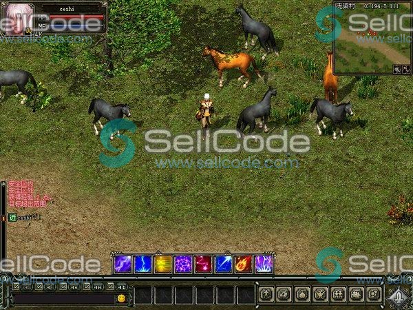 图片[5]-《神奇Online》全套源码-SellCode
